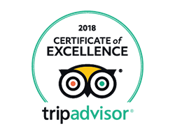 TripAdvisor Logo